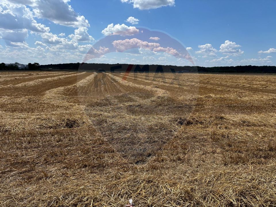 Land 1,858sqm Izvorani / Aleea Tarla 58