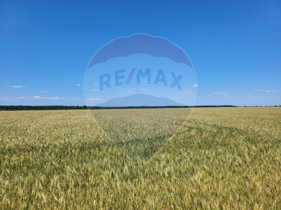 Teren intravilan 30,000mp Corbeanca P+1+E2