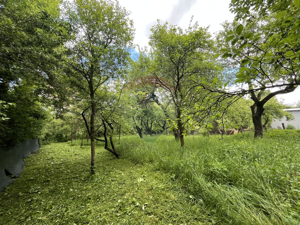 Casă la tara | Exclusivitate | Comision 0%