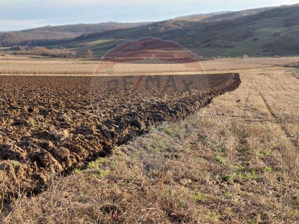 Land 7,200sqm Secuieni / DN Principala