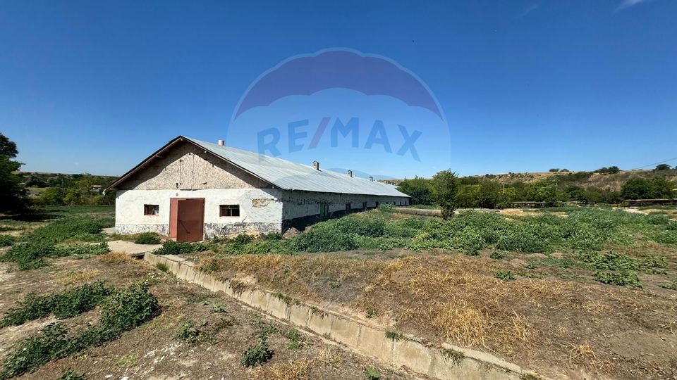 Land 96,998.5sqm Cobadin / Strada Conacu