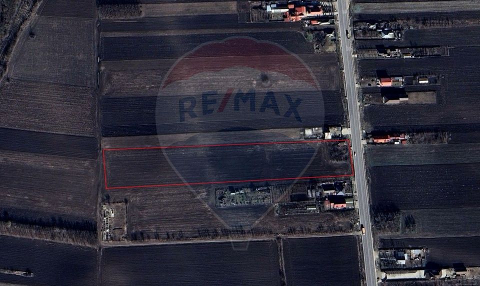 Land 19,100sqm Secuienii Noi / None