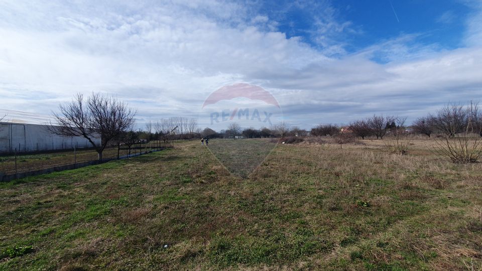 Land 6,785sqm Cornetu / Soseaua Alexandriei