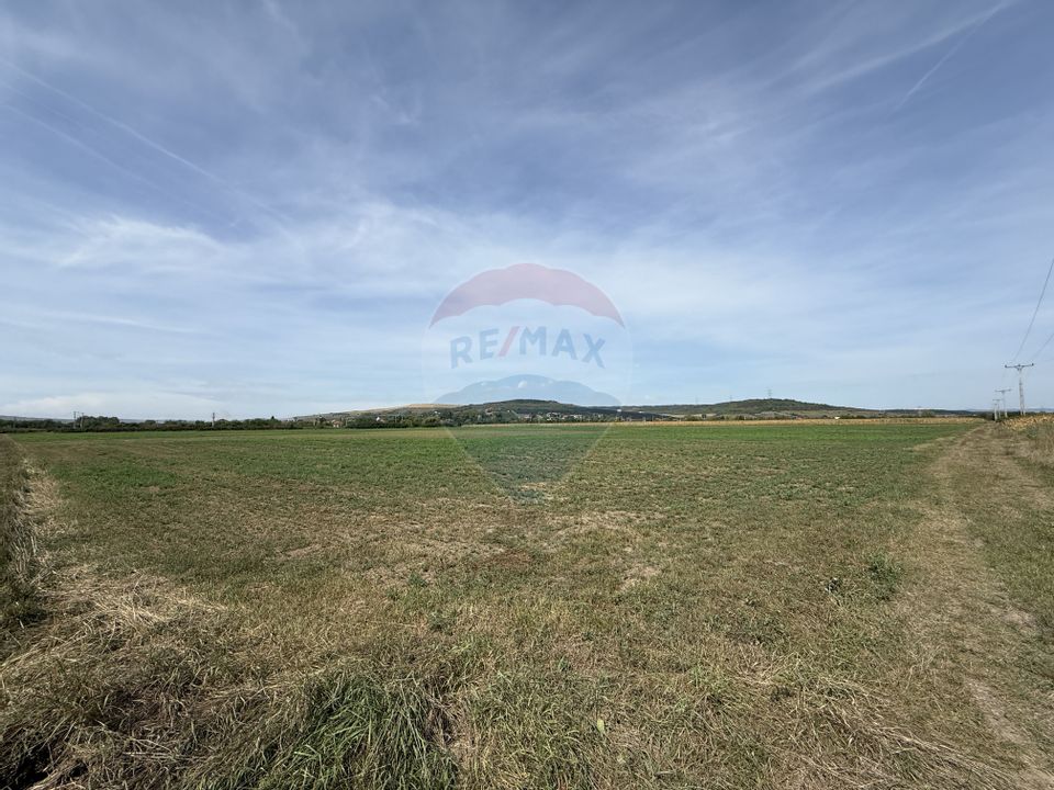 Teren Investitii 2.5 Ha | Zona Tetarom III Rascruci