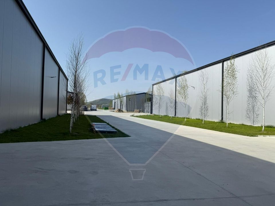 Spatiu industrial Hale, depozit logistic, Birouri premium - Targoviste