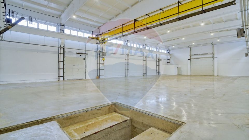 700sq.m Industrial Space for rent, Electroprecizia area