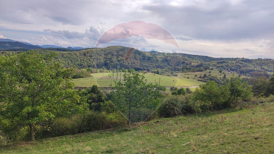 Teren constructii si faneata/livada 3082 mp Damis Bratca drum DJ 764D