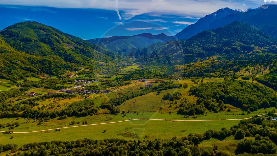 Teren Rasnov, Valea Panicelului 4253mp, izvor pe teren