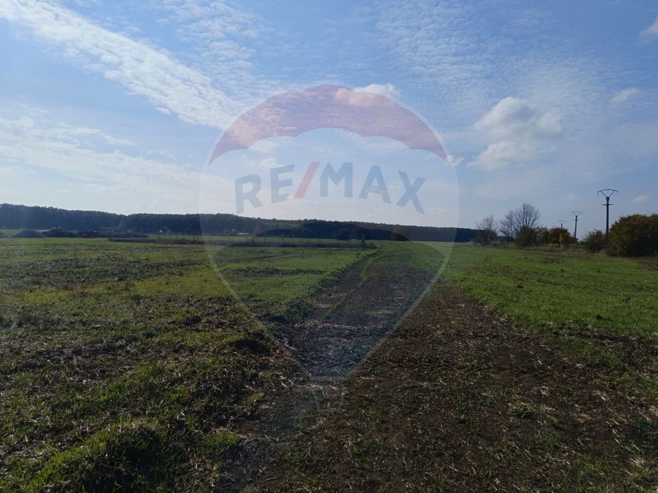 Teren 800mp Ghermanesti / Soseaua Ghermanesti