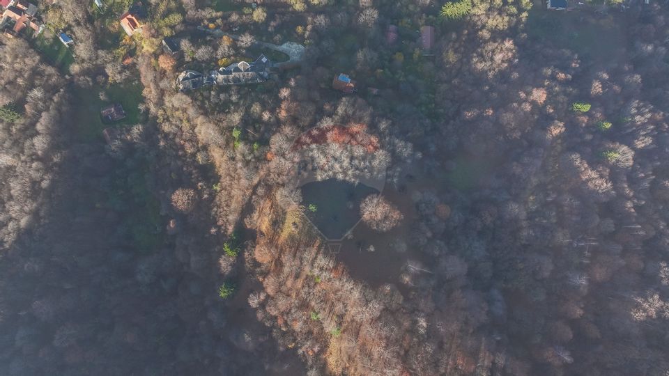 Teren Colinar Panoramic – 17.684 mp în Scheii Brașovului