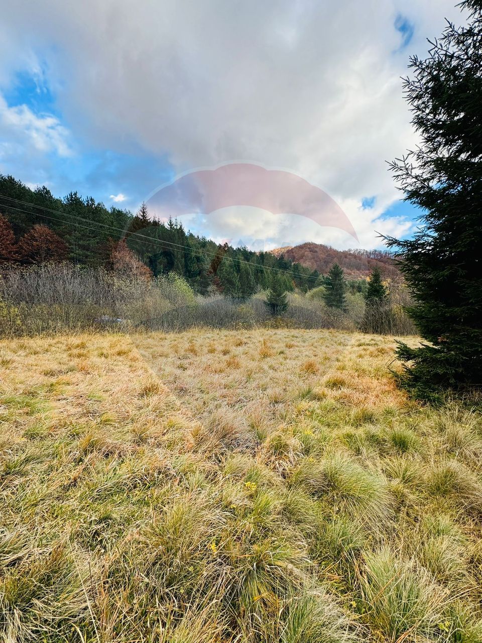 Teren 4,877mp Mara / Strada Principala