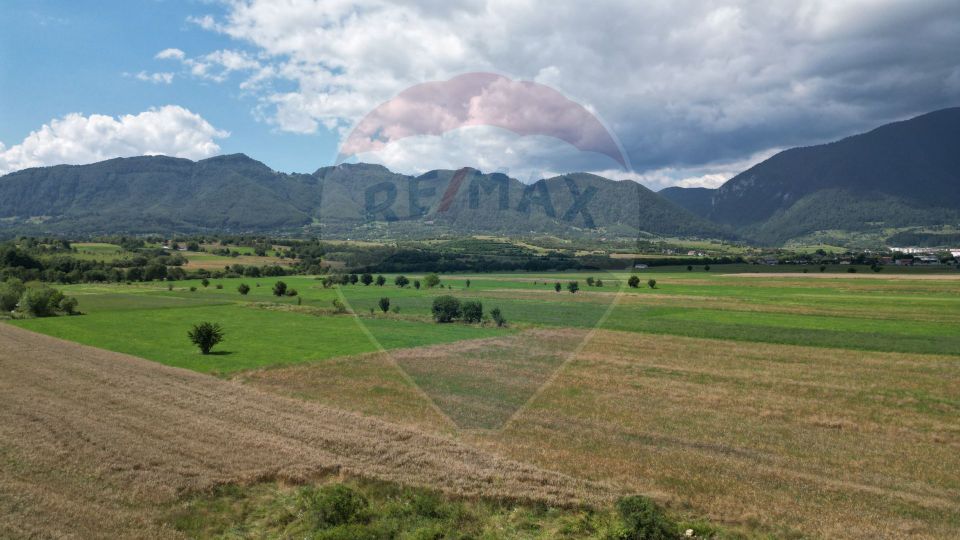 Land 1,180sqm Zarnesti / Strada Fagului