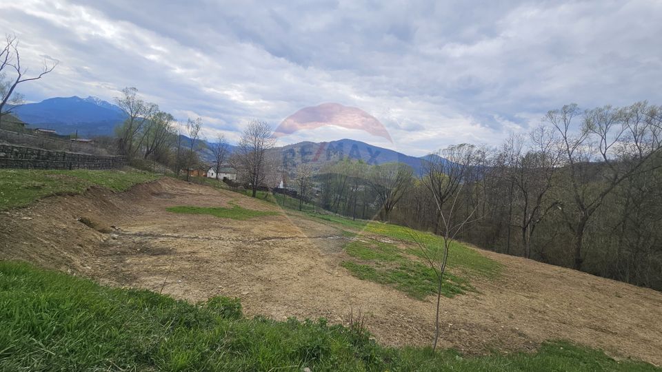 Land 2,910sqm Chiriteni / DN 15