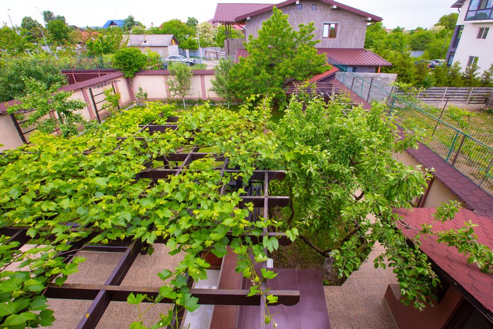 10 room House / Villa for sale, Serbanesti area