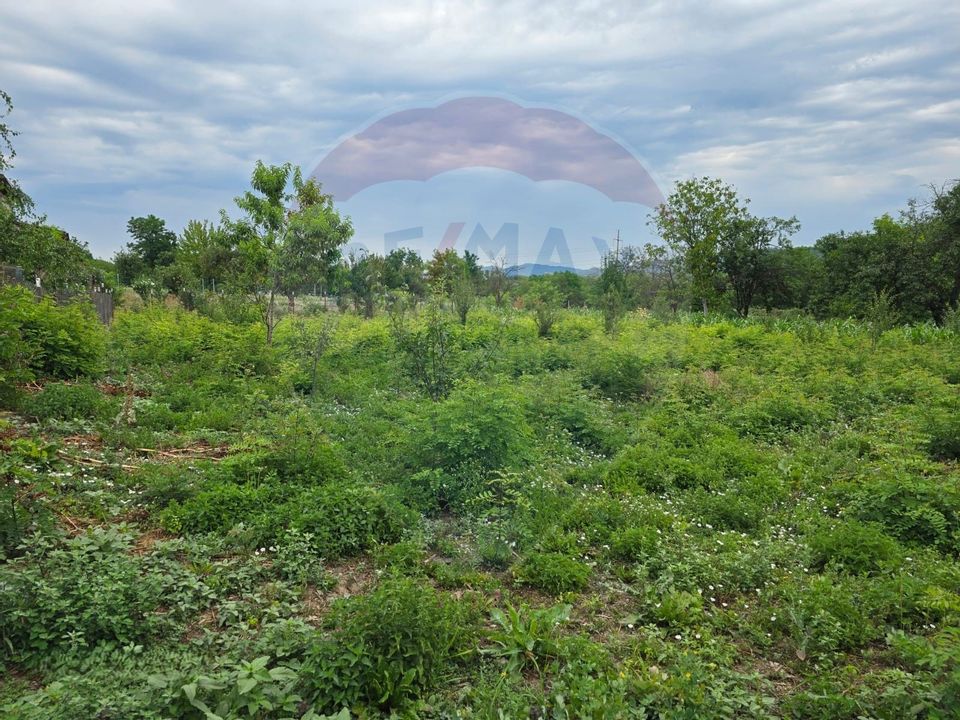 Comision 0! Casa din inima Subcarpaților — comuna Cislau, teren 5000mp