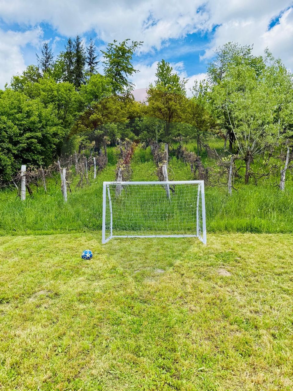 Vanzare Vila la munte