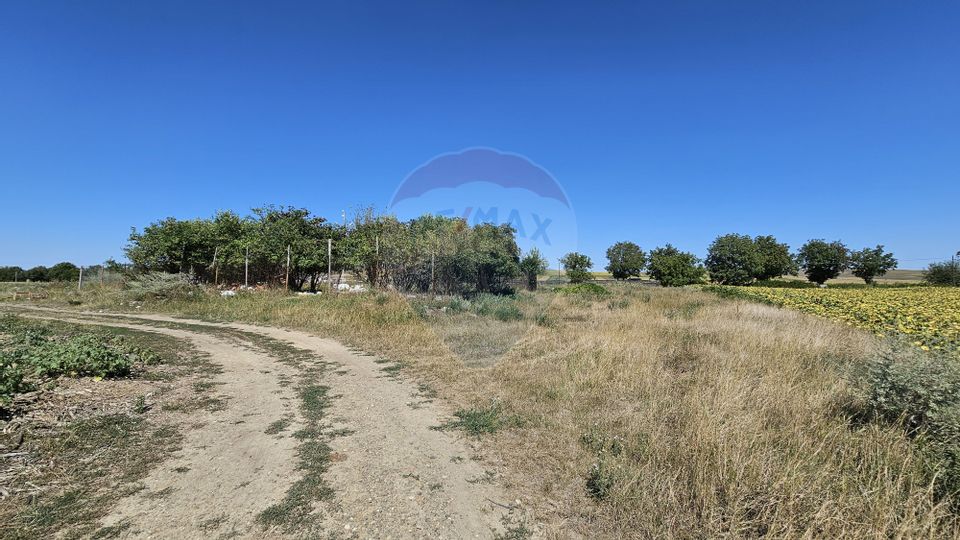 Land 52,115sqm Hutani / DJ DJ291