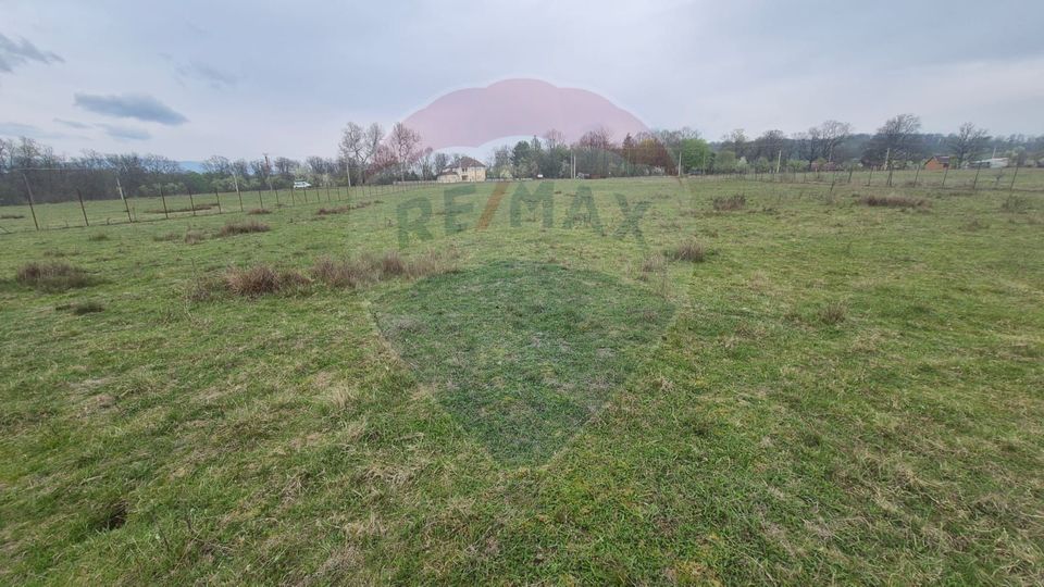 Land 5,000sqm Sebis / Strada CIUTARIEI