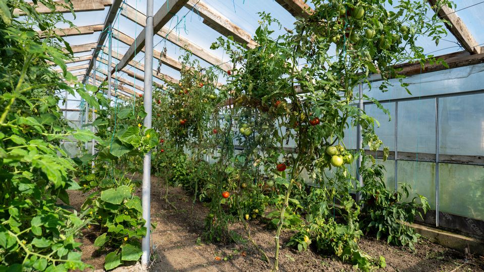 5 room House / Villa for sale