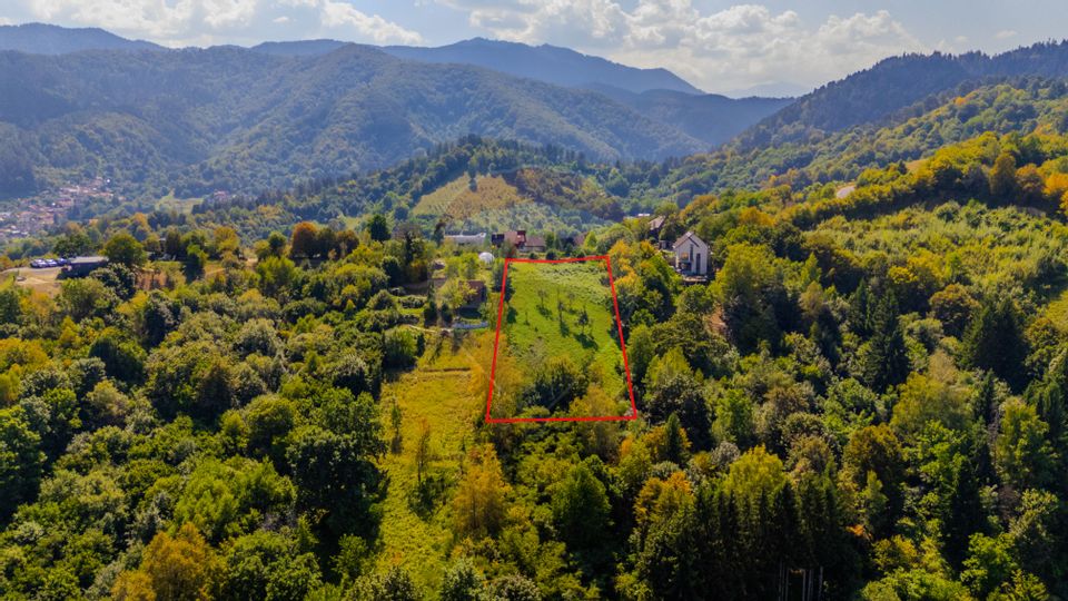 COMISION 0% Teren 2700mp / Strada Coltul Putinarilor/Poiana Brașov