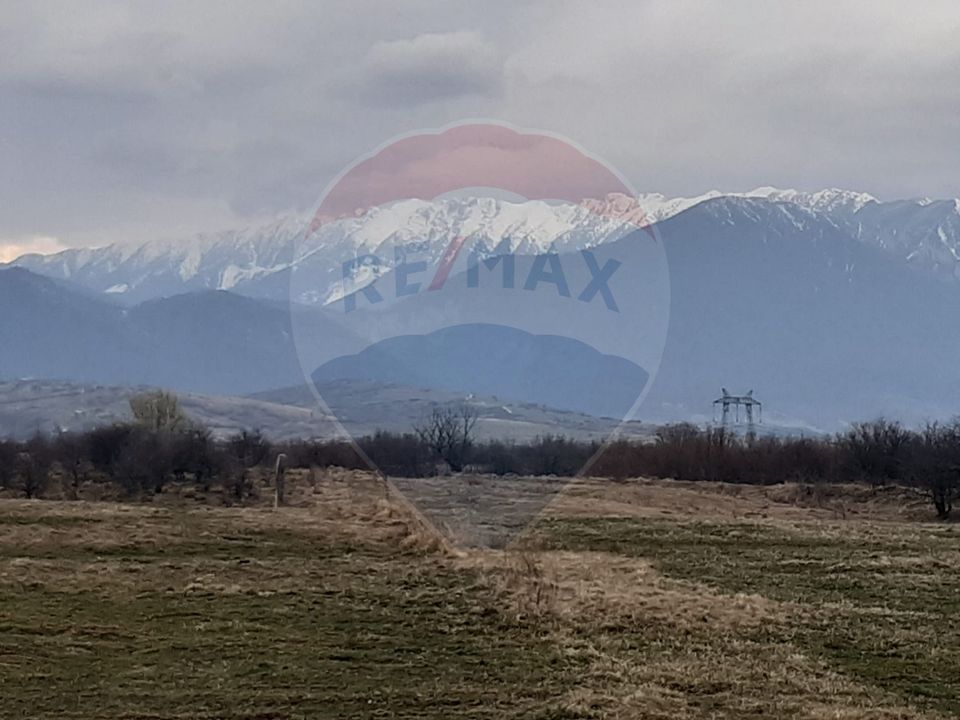 Teren 10,000mp Rasnov / Drumul Panicel