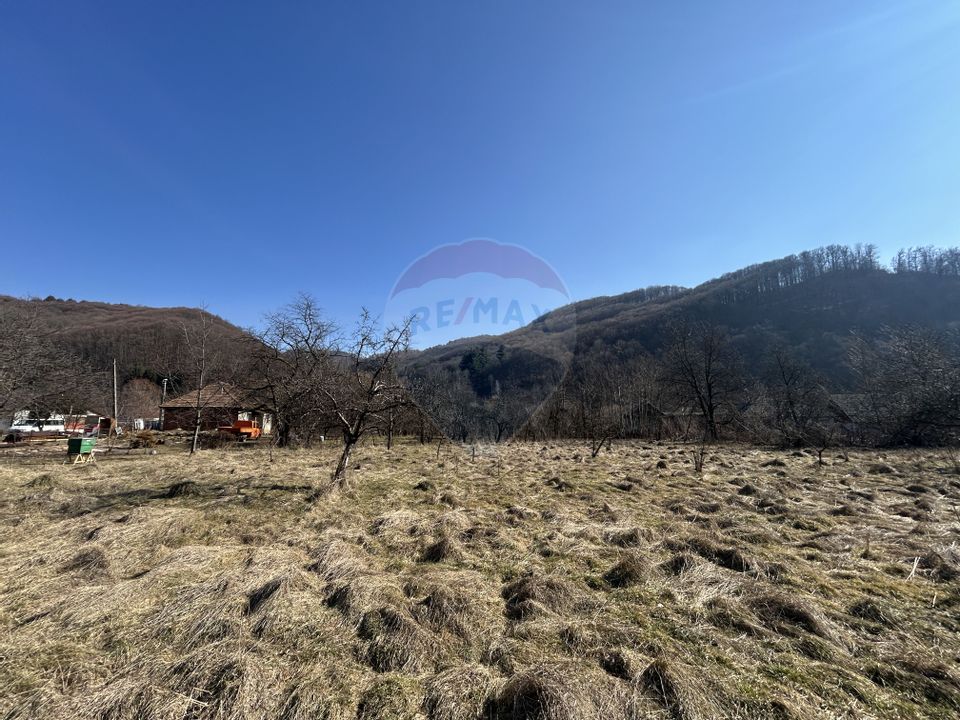 Teren intravilan 1,438mp Baia Mare / Strada Arinului Ferneziu