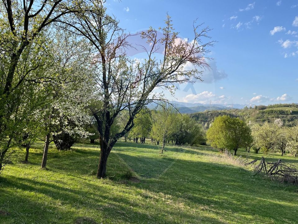 Land 12,895sqm Campulung-Muscel / Strada Valea Romanestilor