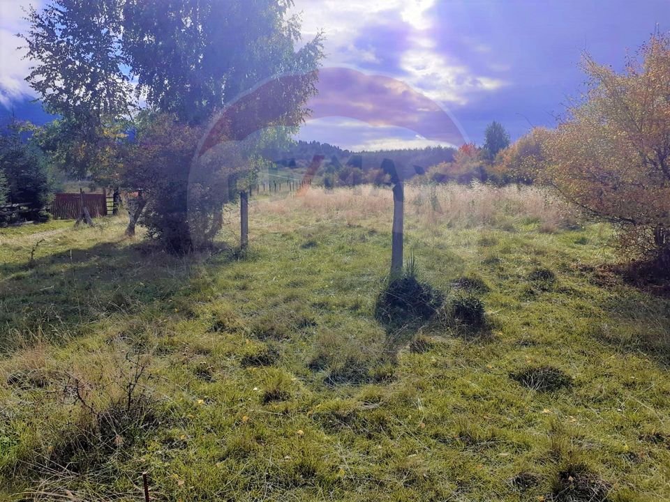 Comision Teren Rasnov - Strada Poiana velicanului, 5167mp