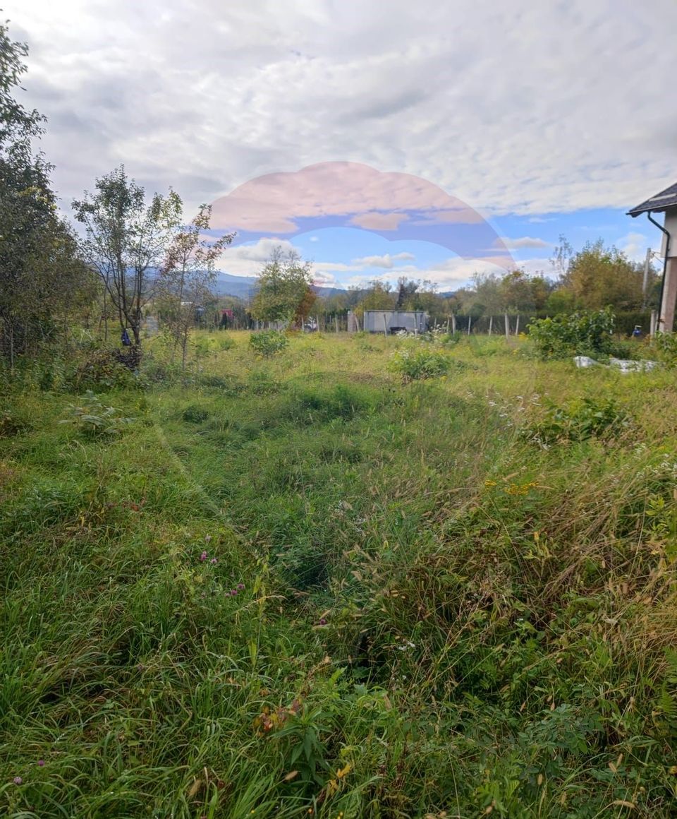 Land 1,100sqm Sighetu Marmatiei / Strada Primaverii