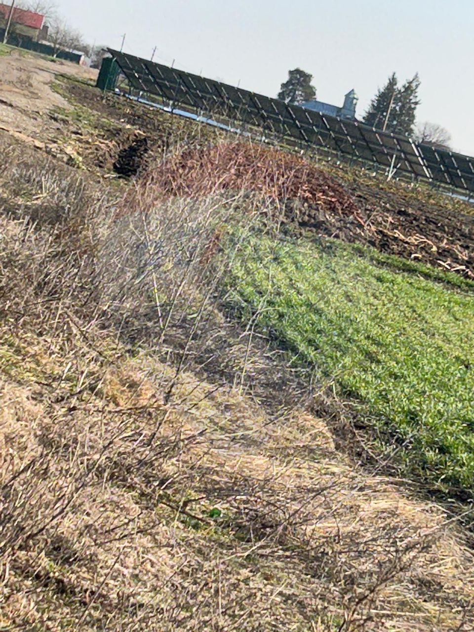 Land 17,320sqm Moara Vlasiei / None