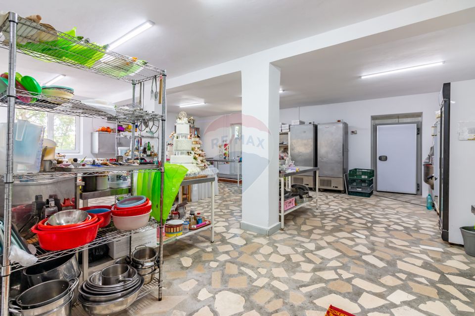 Casa+Laborator+ Teren 12.700 mp + casa de vacanta - Bolintin Vale