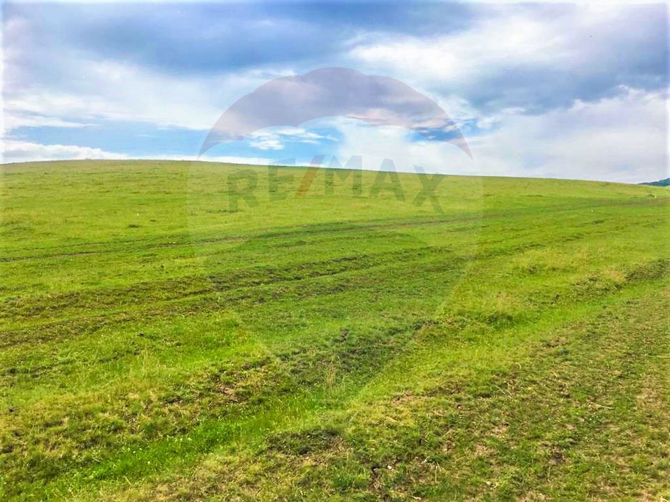 Land 11,900sqm Miercurea Sibiului / DJ 106F