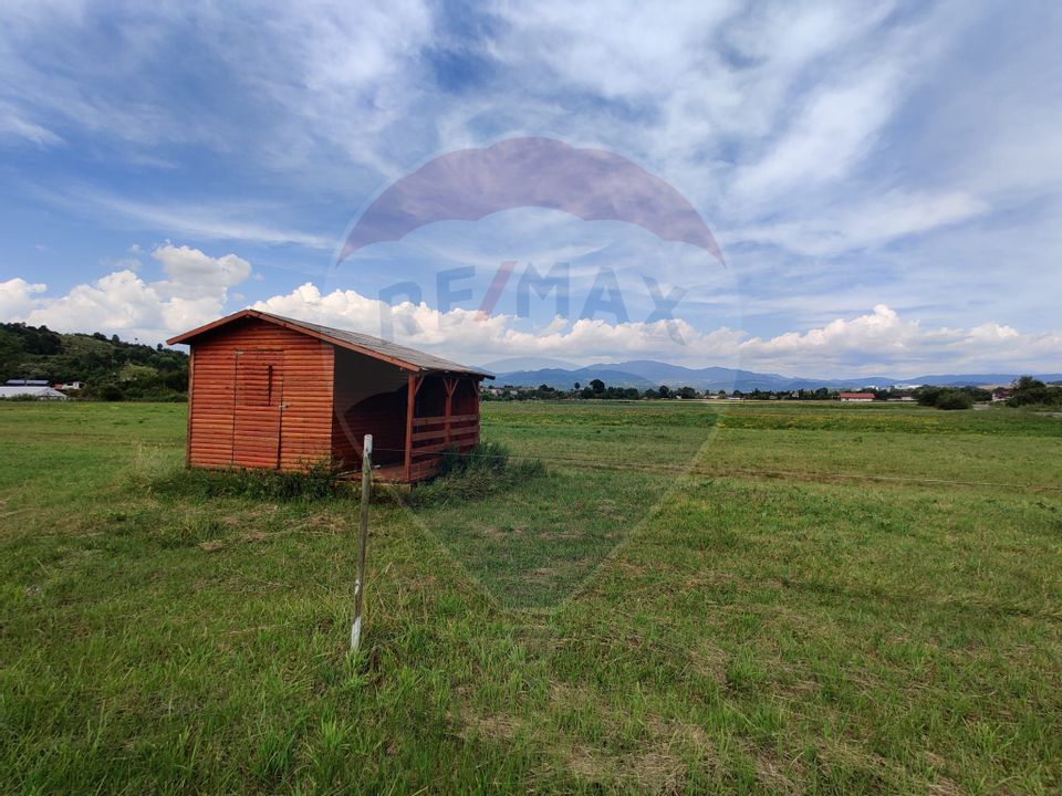 Land 1,419sqm Dumbravita / Strada dumbravita