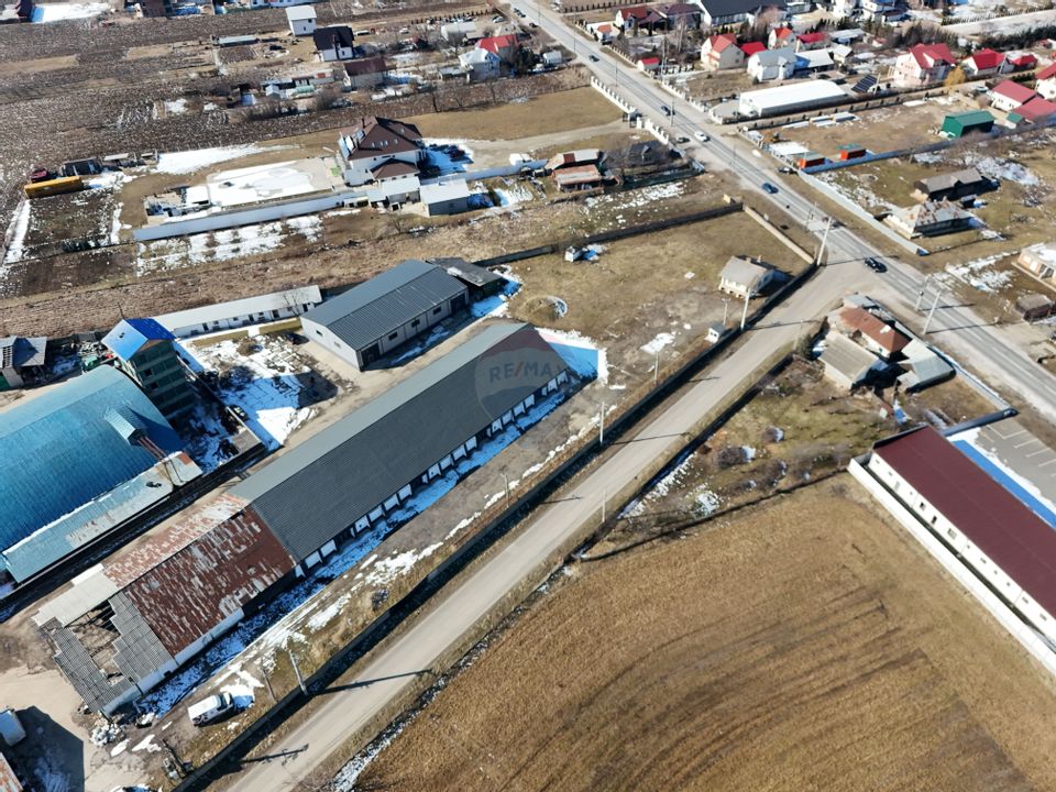 Hale industriale de închiriat în Tg Neamț