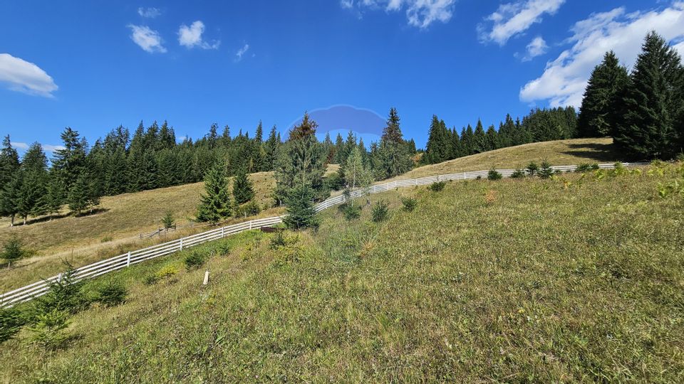 Casă / Vilă de vacanta in Dorna Arini, Suceava