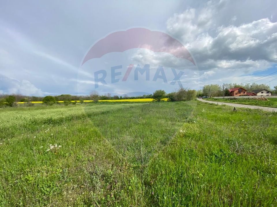 Land 1,048sqm Copaceni / Strada Ecluzei