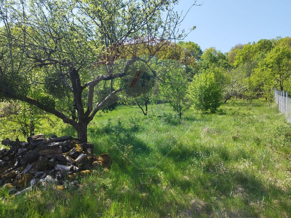 Land 1,650sqm Baia Mare / Strada Valea Borcutului