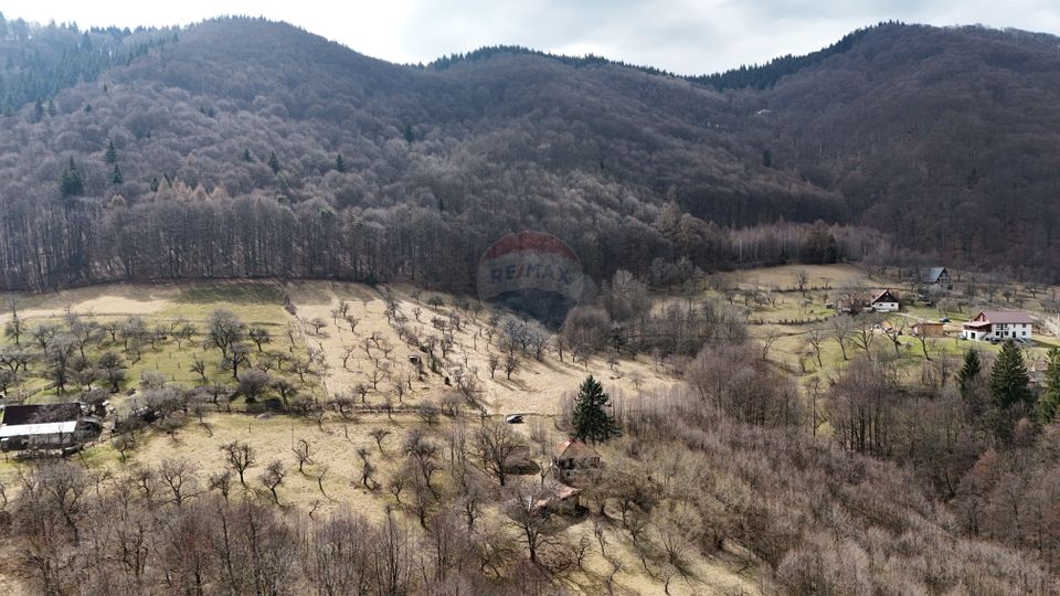 Land 24,253sqm Predelut / Strada Inginer Nicolae Boboc