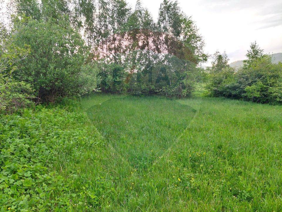 Land 4,223sqm Zarnesti / Strada Tohanita