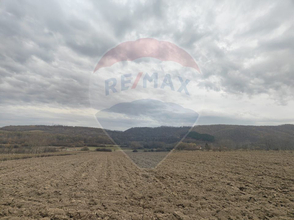 Land 11,900sqm Fardea / Drumul principal