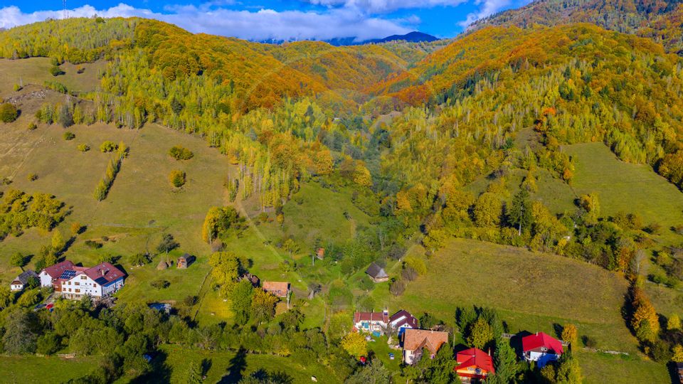 COMISION 0% Teren 11,381 mp Moieciu de Jos / Oportunitate unică