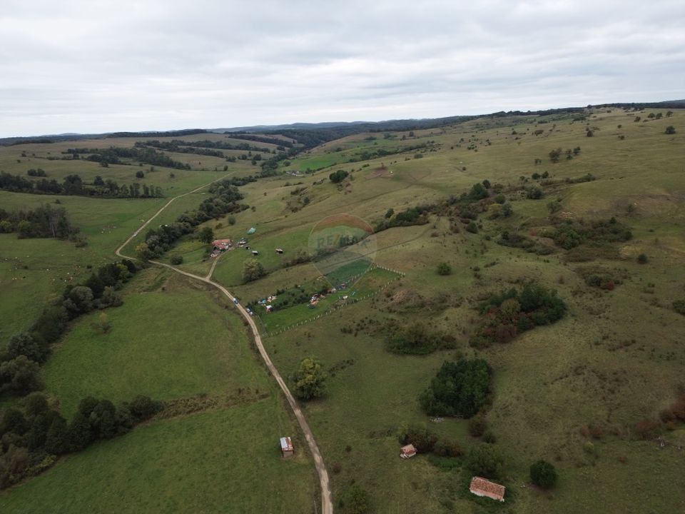 Land 65ha Agnita / Central