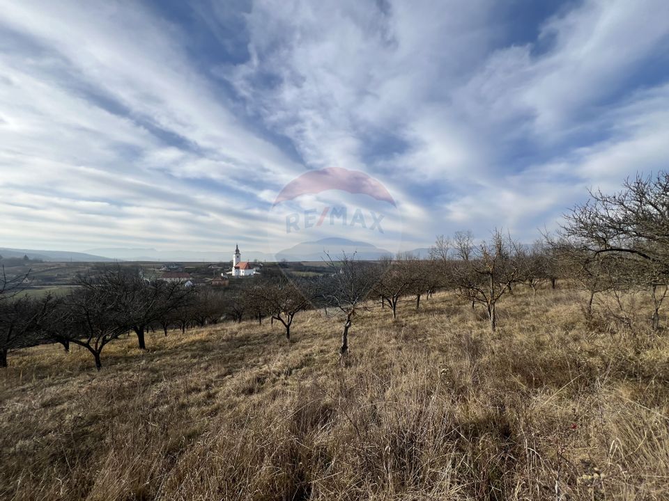 Land 10,000sqm Badeni / Strada Mică