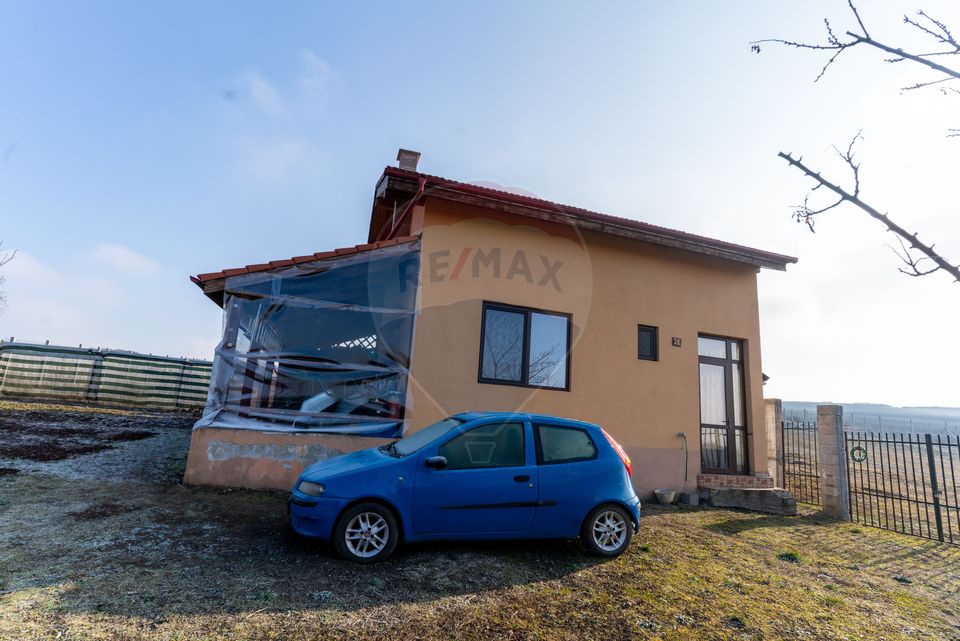 Casă / Vilă in Barcea Mare , jud. Hunedoara