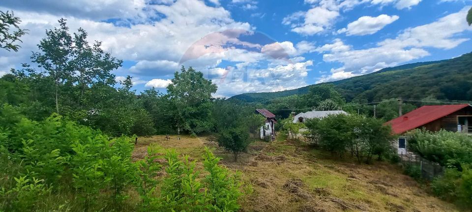 Land 3,551sqm Poiana Copaceni / Strada Poiana Copaceni