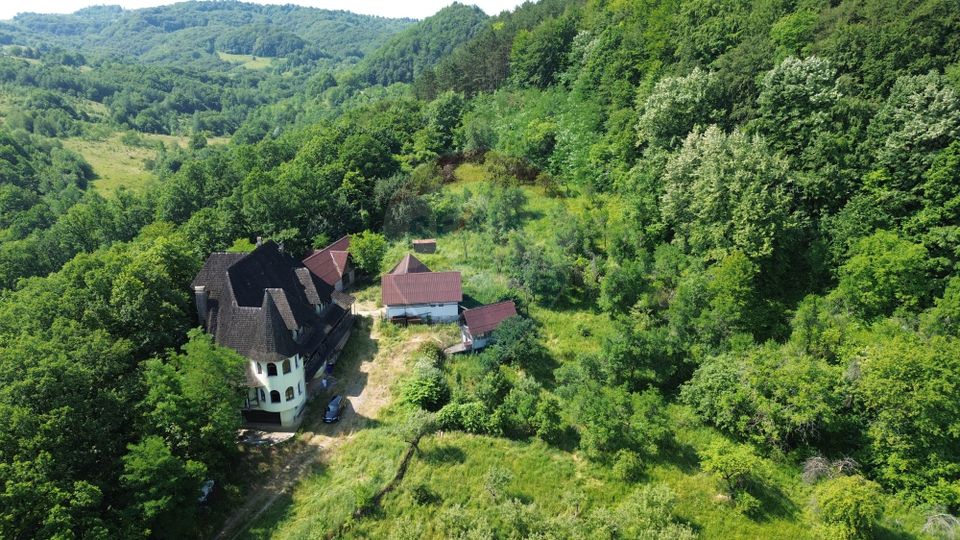 10 room House / Villa for sale