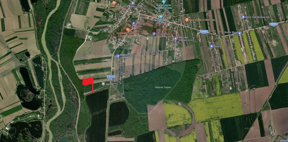 Teren intravilan de vanzare 500 mp, com Domnesti/Teghes