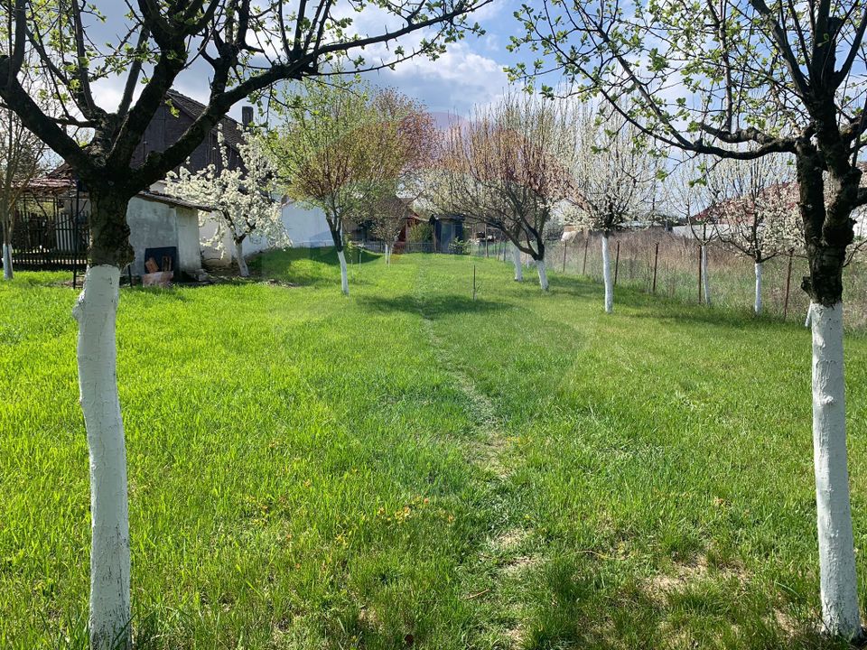 3 room House / Villa for sale