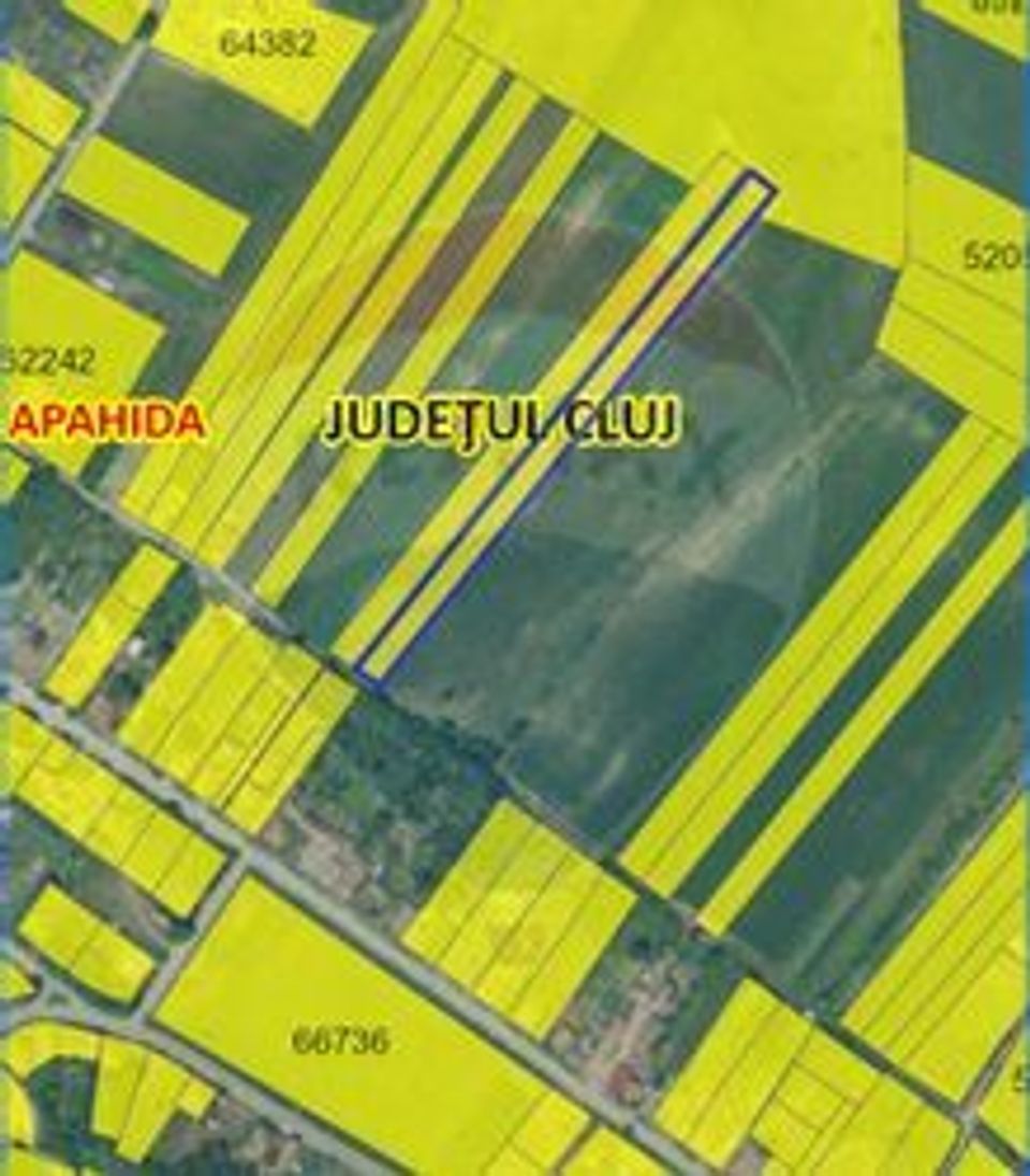 Teren Apahida / Sat pata