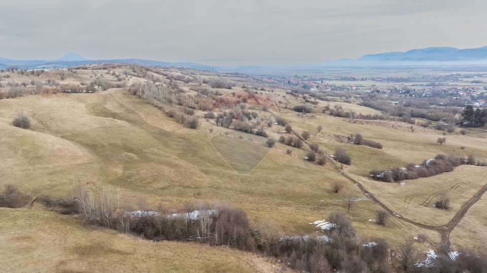 Land 5,602sqm Tohanu Nou / Strada Pe tarina